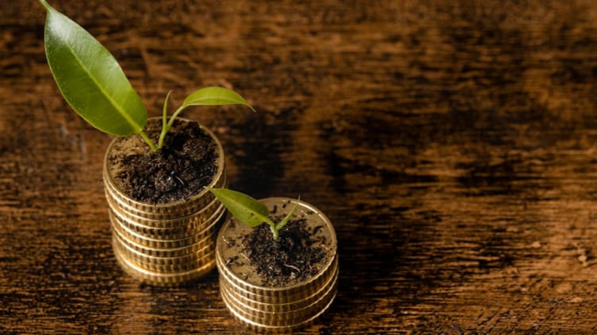 How to raise capital for Small Medium Enterprises (SMEs)